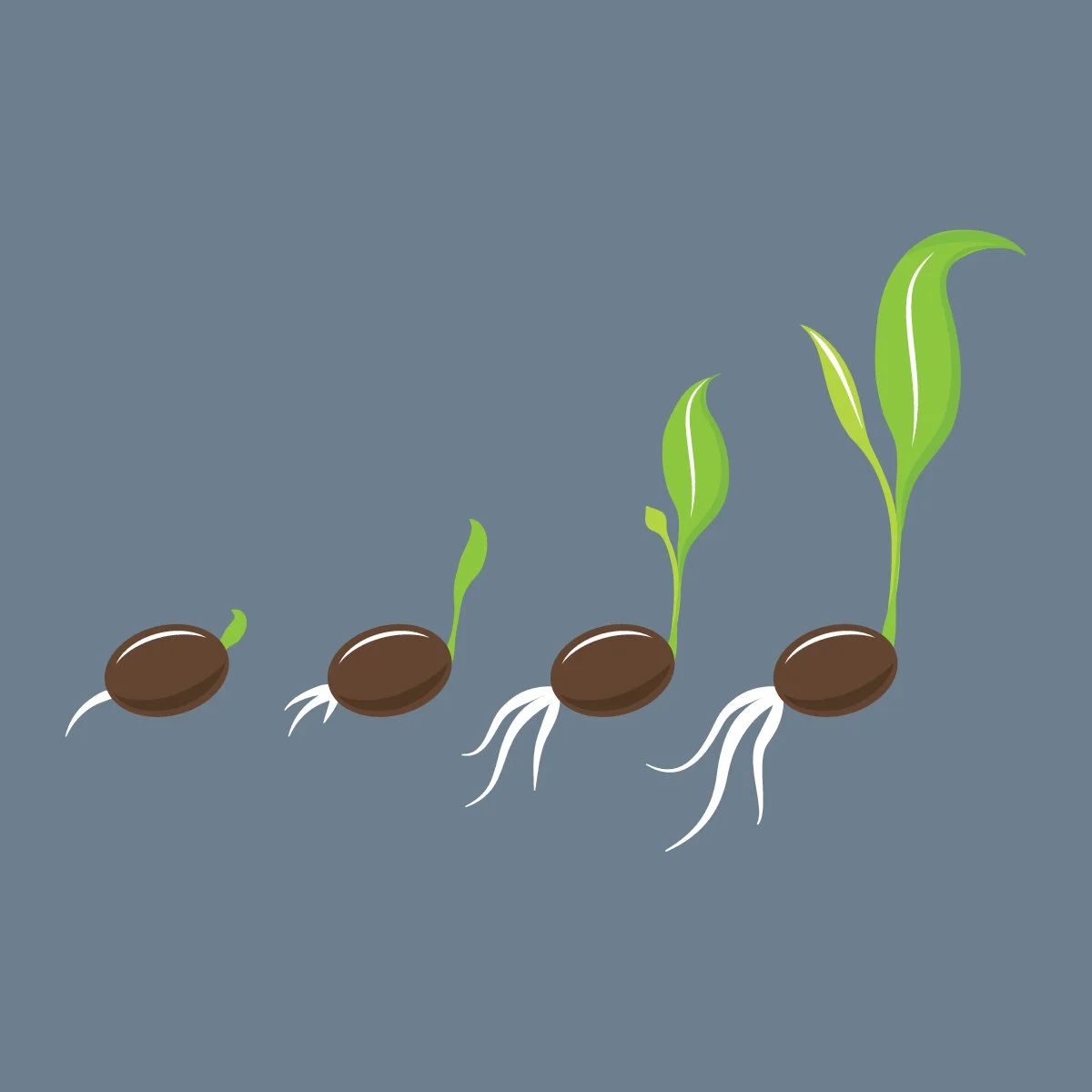 Il segreto per fondare chiese