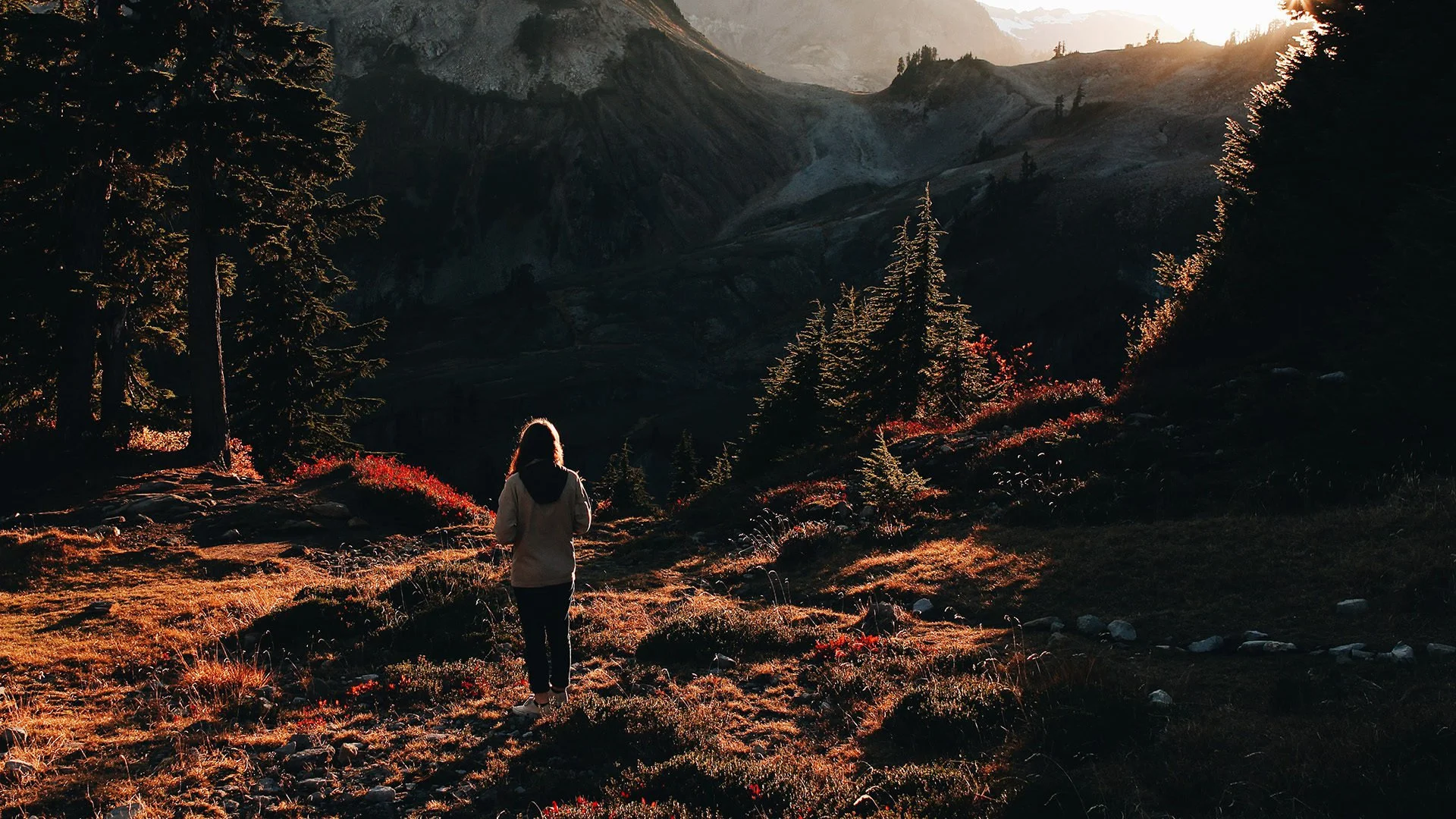 La solitudine della diversità