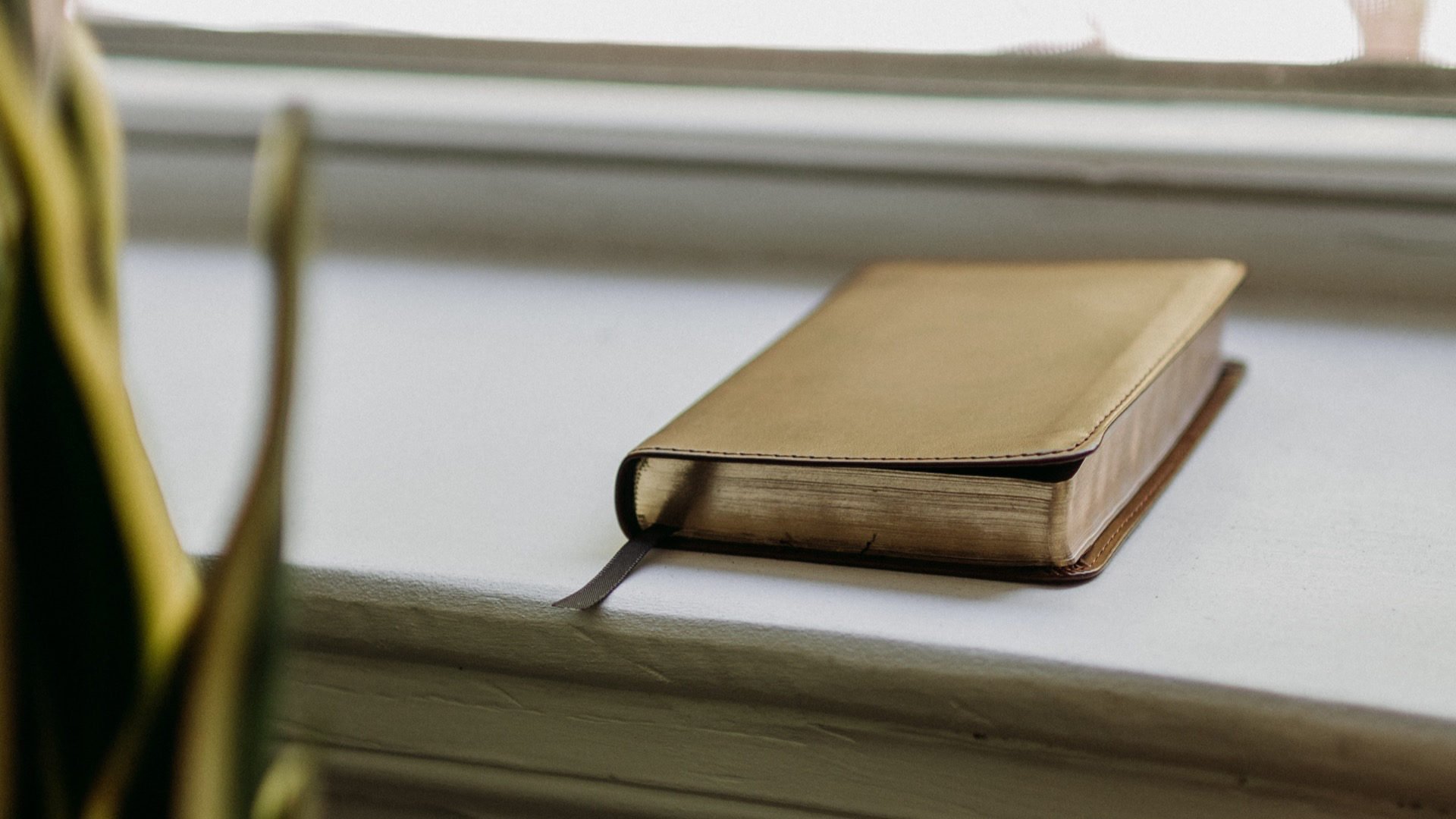 Worship leader, usa tutta la Bibbia