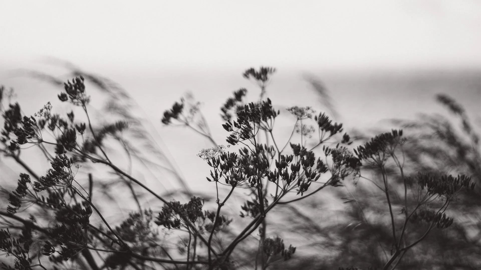 Quattro consolazioni per cristiani ansiosi