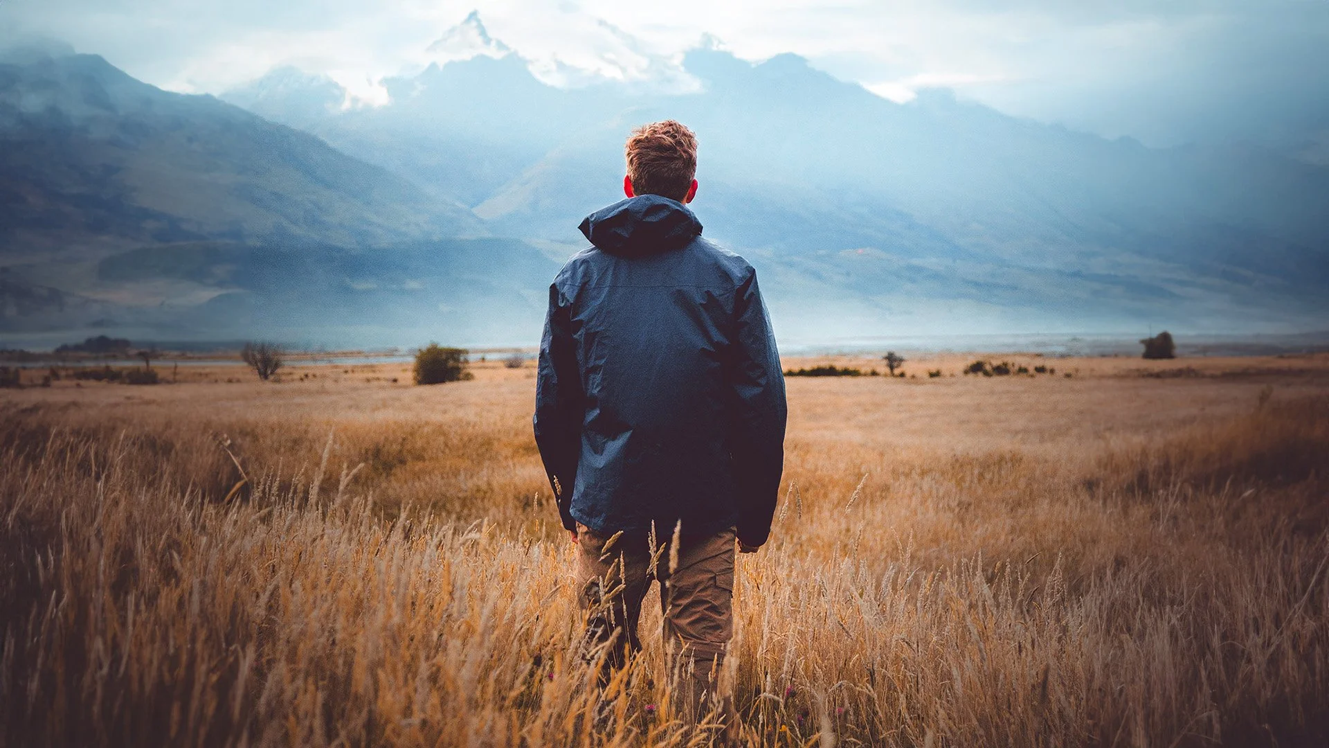 Cinque ragioni per non seguire il tuo cuore