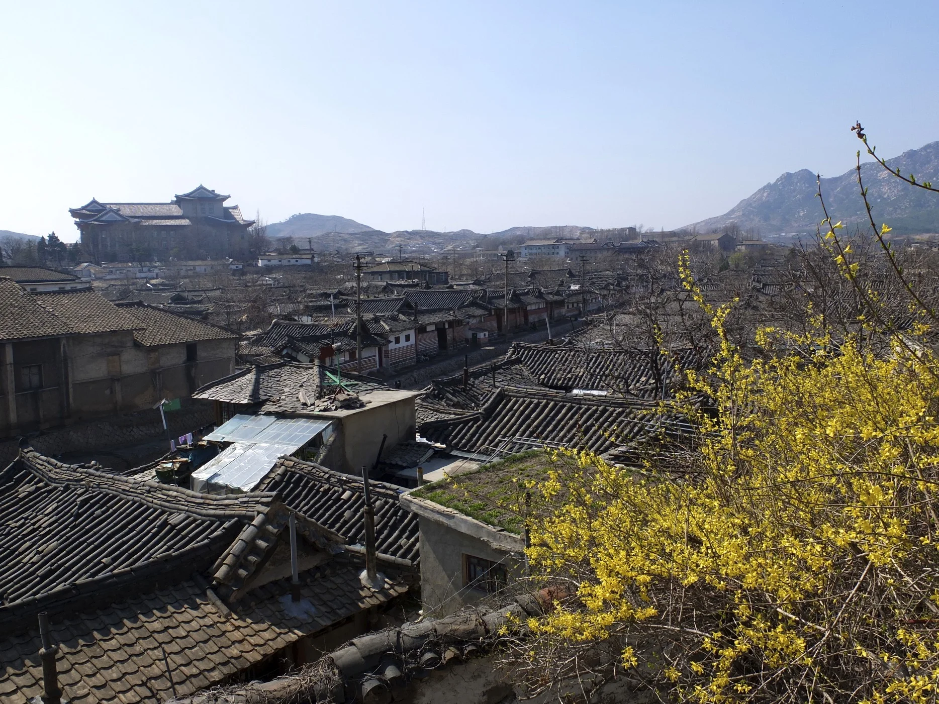 DSCF6557.jpg
