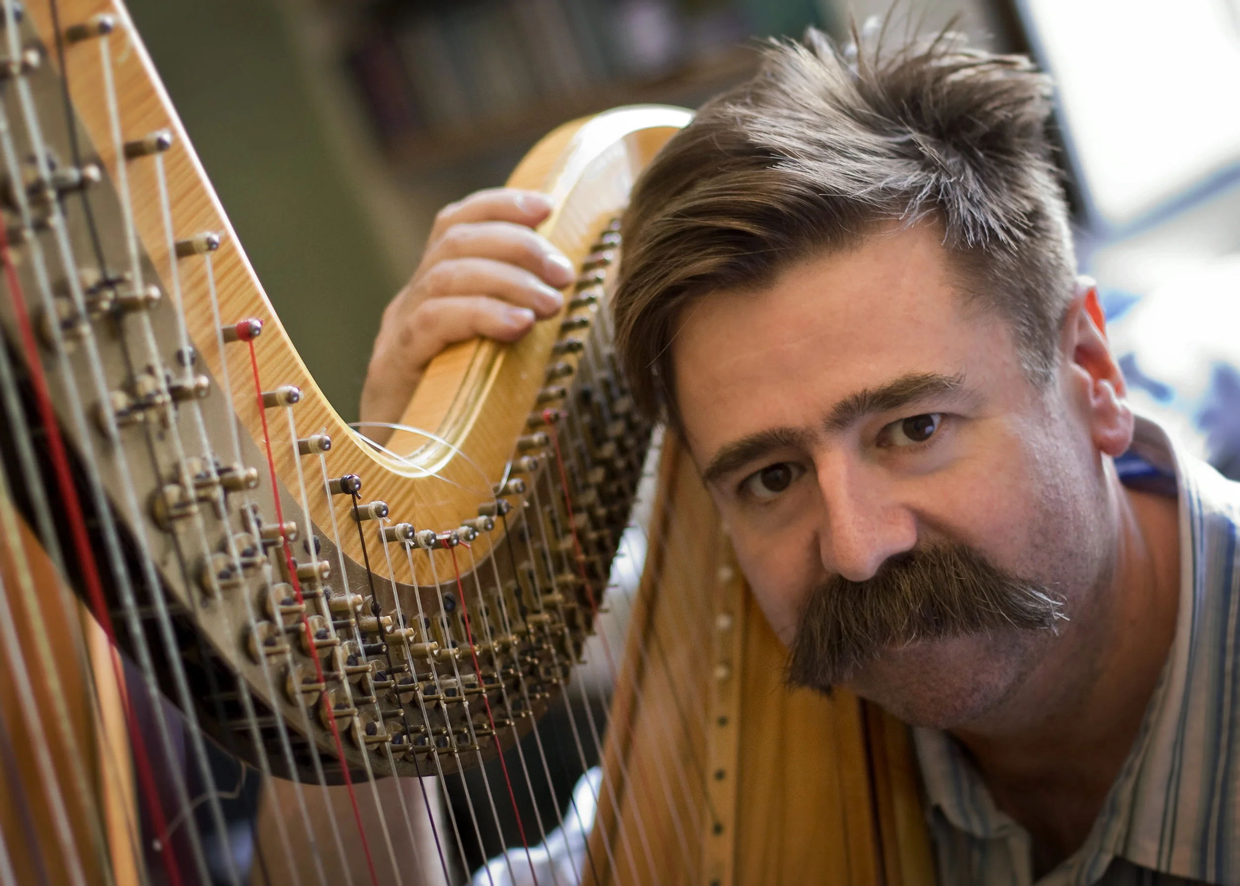 Hugh Webb - harp