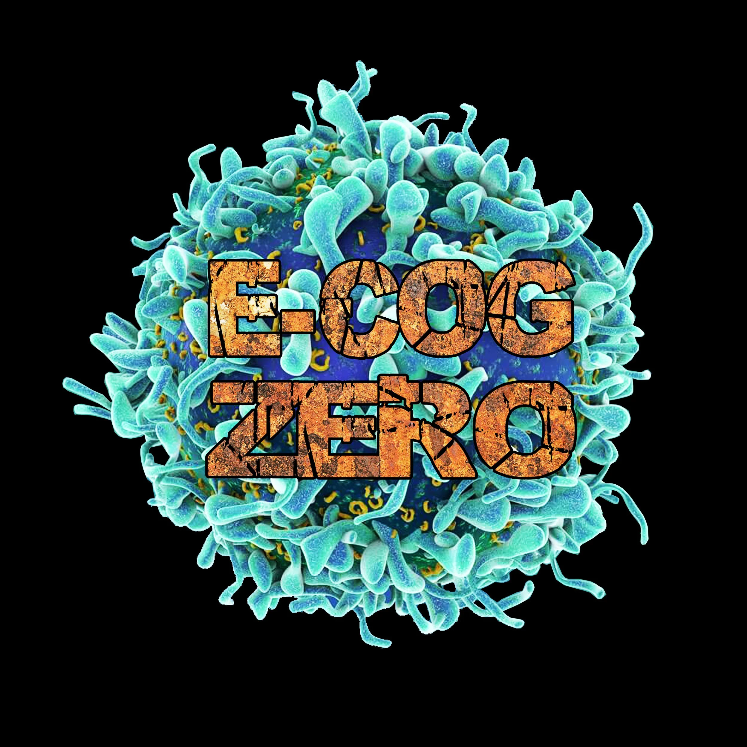 News from E-COG ZERO