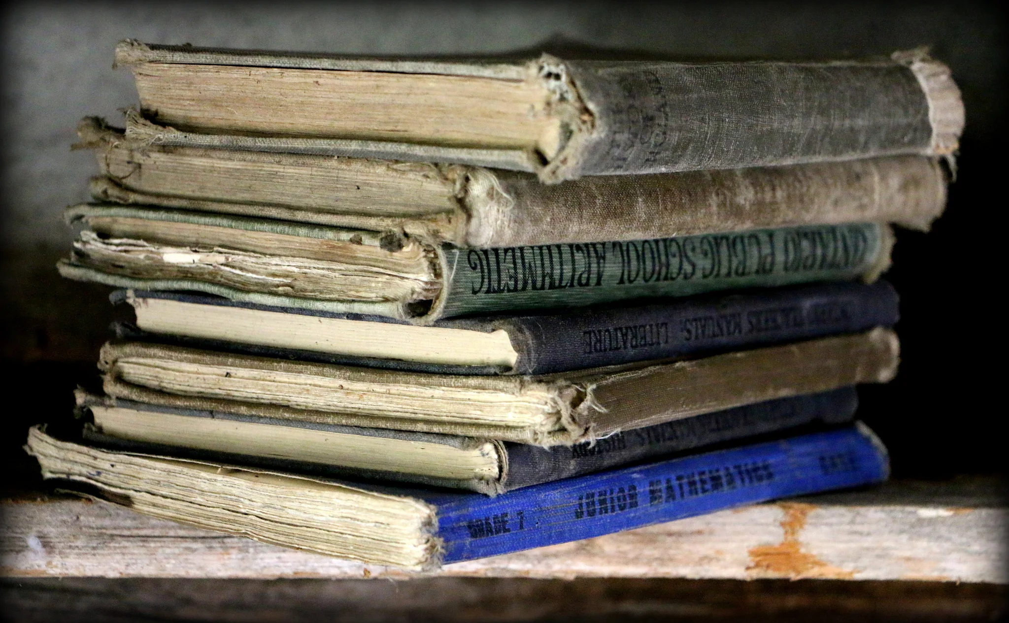 Old School textbooks by Rina Pitucci