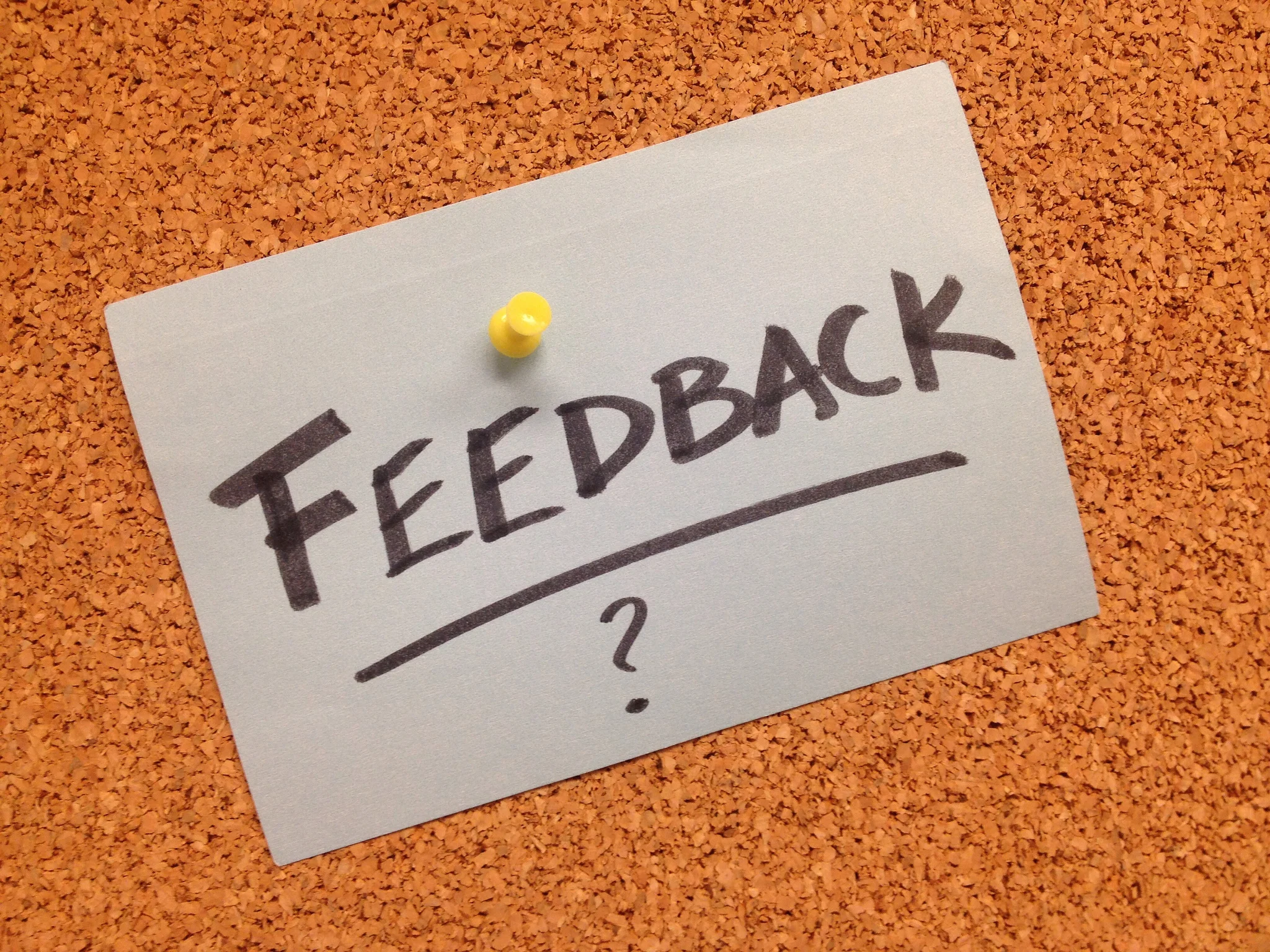 Feedback by Giulia Forsythe