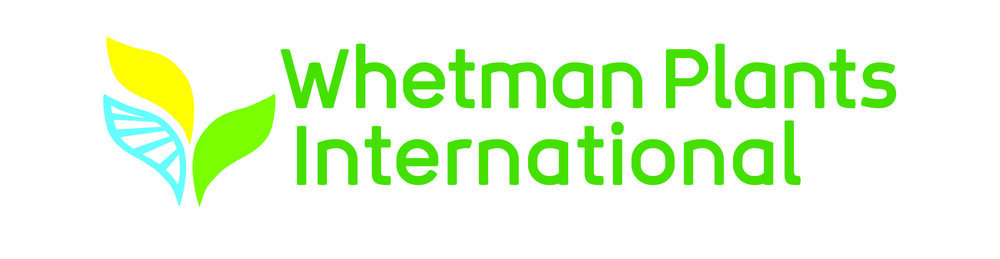 Whetman+-+Logo.jpg