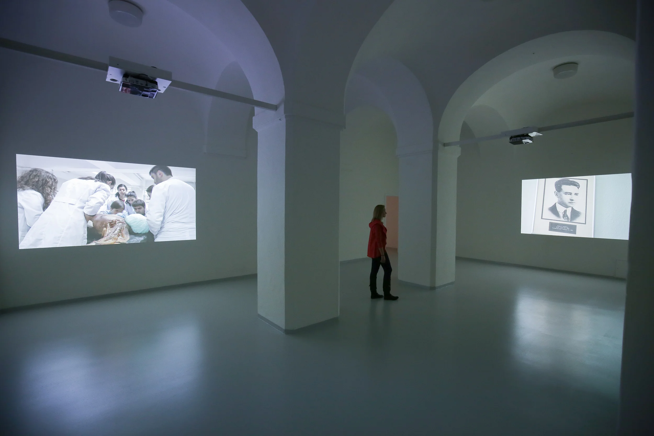 Raum mit Videoprojektionen von Ali Kazma, Standbilder aus den Videoarbeiten Anatomy und Cryonics