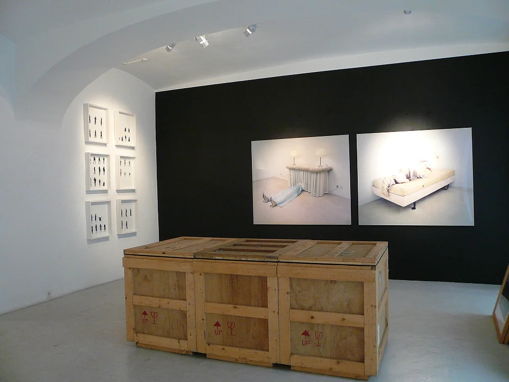 Ausstellungsansicht in der ehemaligen Galerie Momentum in der Karl Schweighofergasse. Bilder von Anja Manfredi und Chantal Michel bei der Ausstellung Ich ist eine andere , 2008