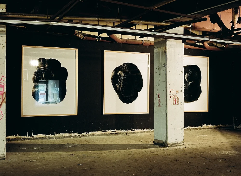 Ansicht von der Gruppenausstellung Breathless, kuratiert von Adam Budak, 2009 Markthalle Wien Mitte. Im Hintergrund die Lampen von Peter Garmusch.
