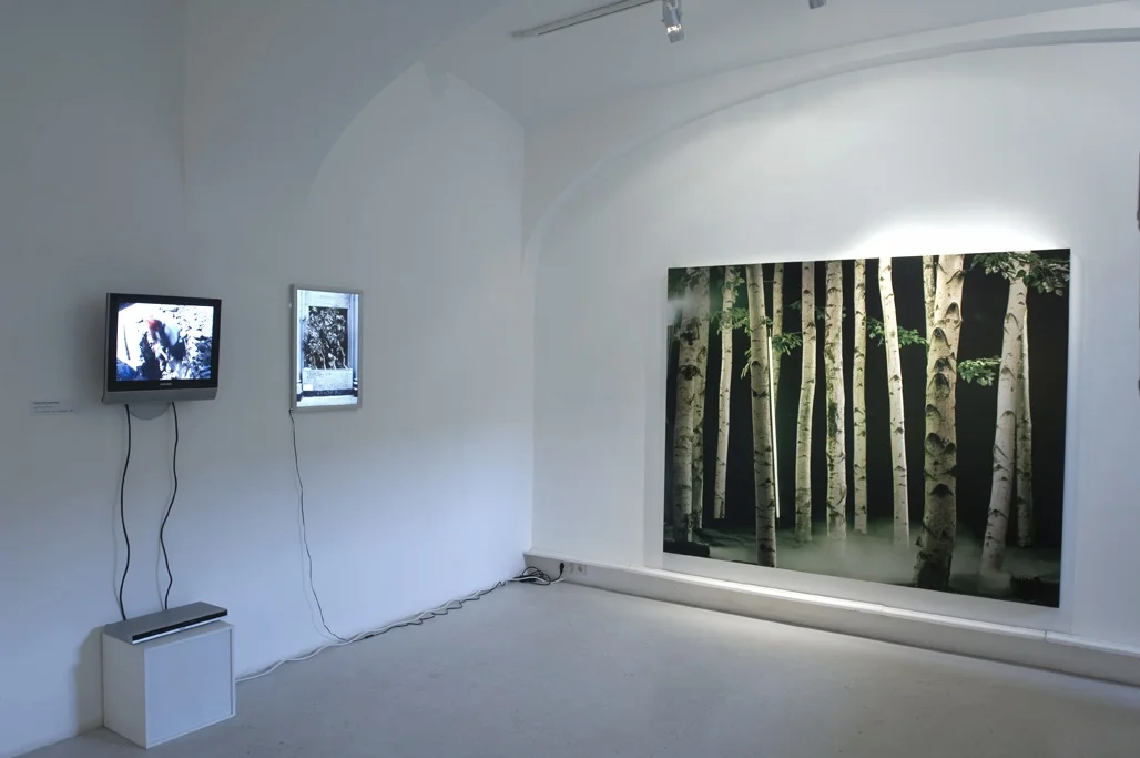 Ausstellungsansicht von Elfie Semotan in der Galerie Momentum/Karl Schweighofergasse, 2007