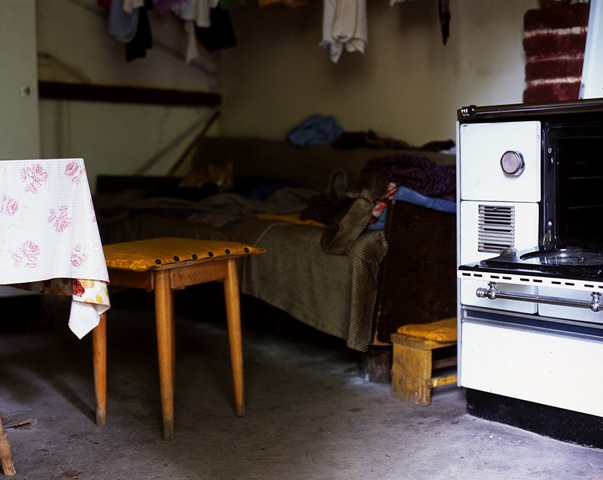 Ana Opalic, Flowers are still growing, 2015