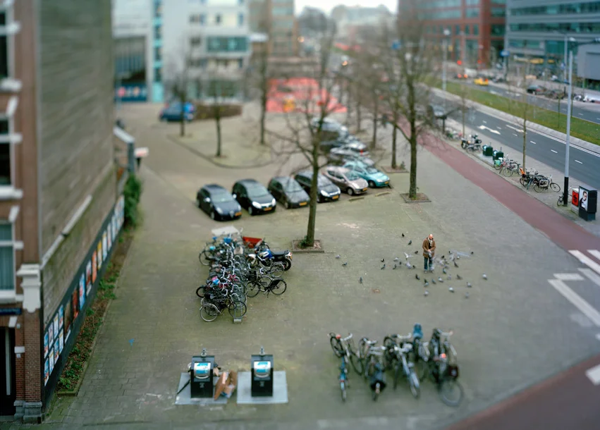Miklos Gaál, Pigeon Feeder, 2016