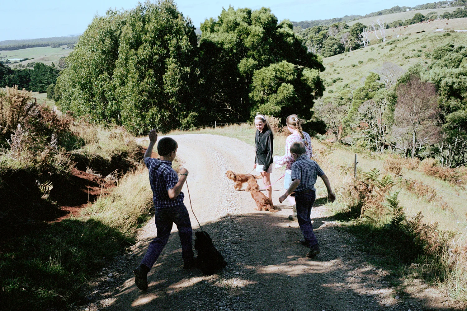 "Living on a farm, the children have a love for the land. To appreciate the earth and what God has given us and to treat the land and the animals gently is important for the kids to learn. Because how you treat your animals, is how you treat other people." Hudson, Bonnie, Jesse and Joseph Milburn on the family farm. Irishtown, Tasmania.