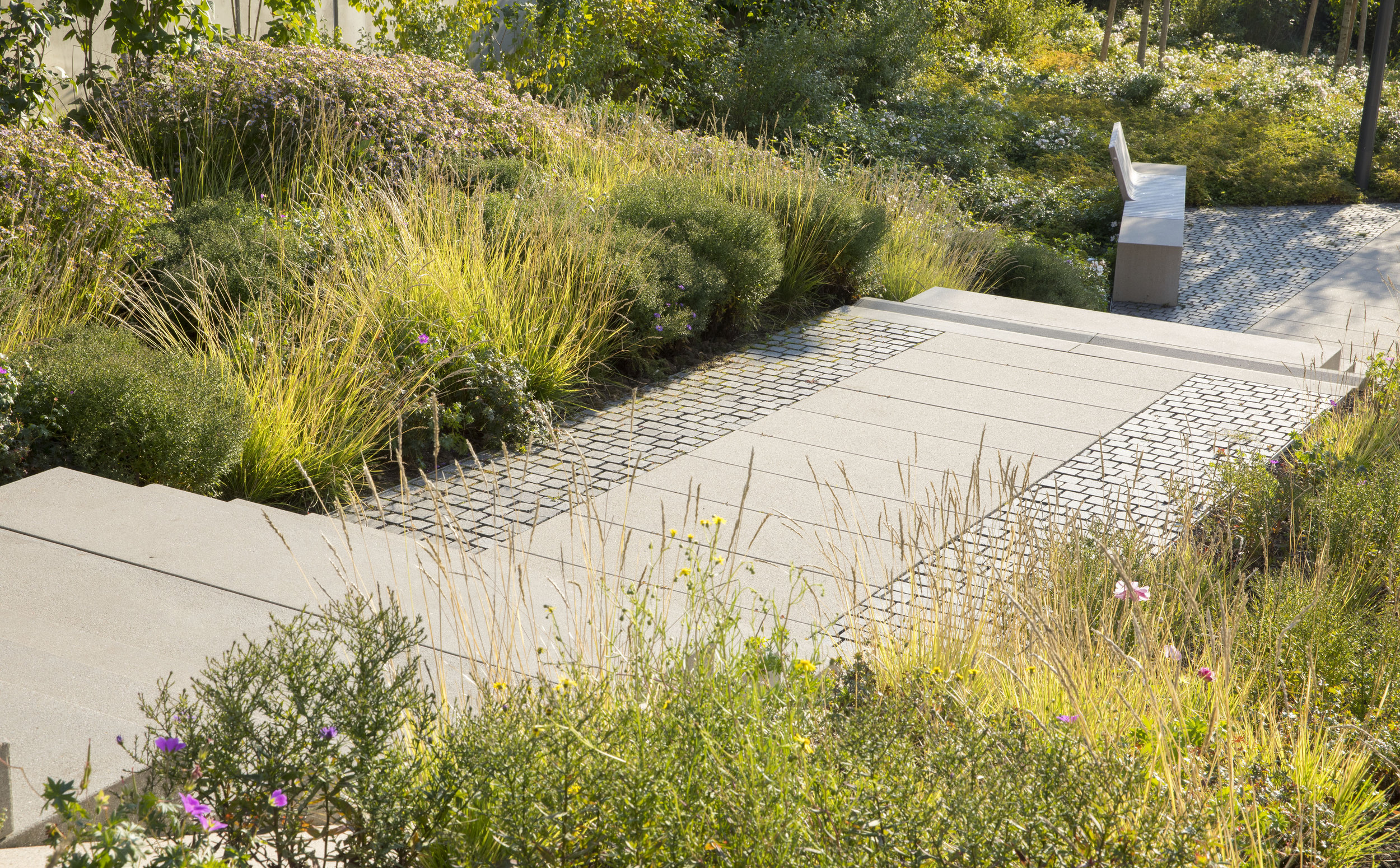  The JdL development is connected to the existing urban framework through a network of public paths. An attractive planting scheme allows for fun walks in the city throughout the seasons. 