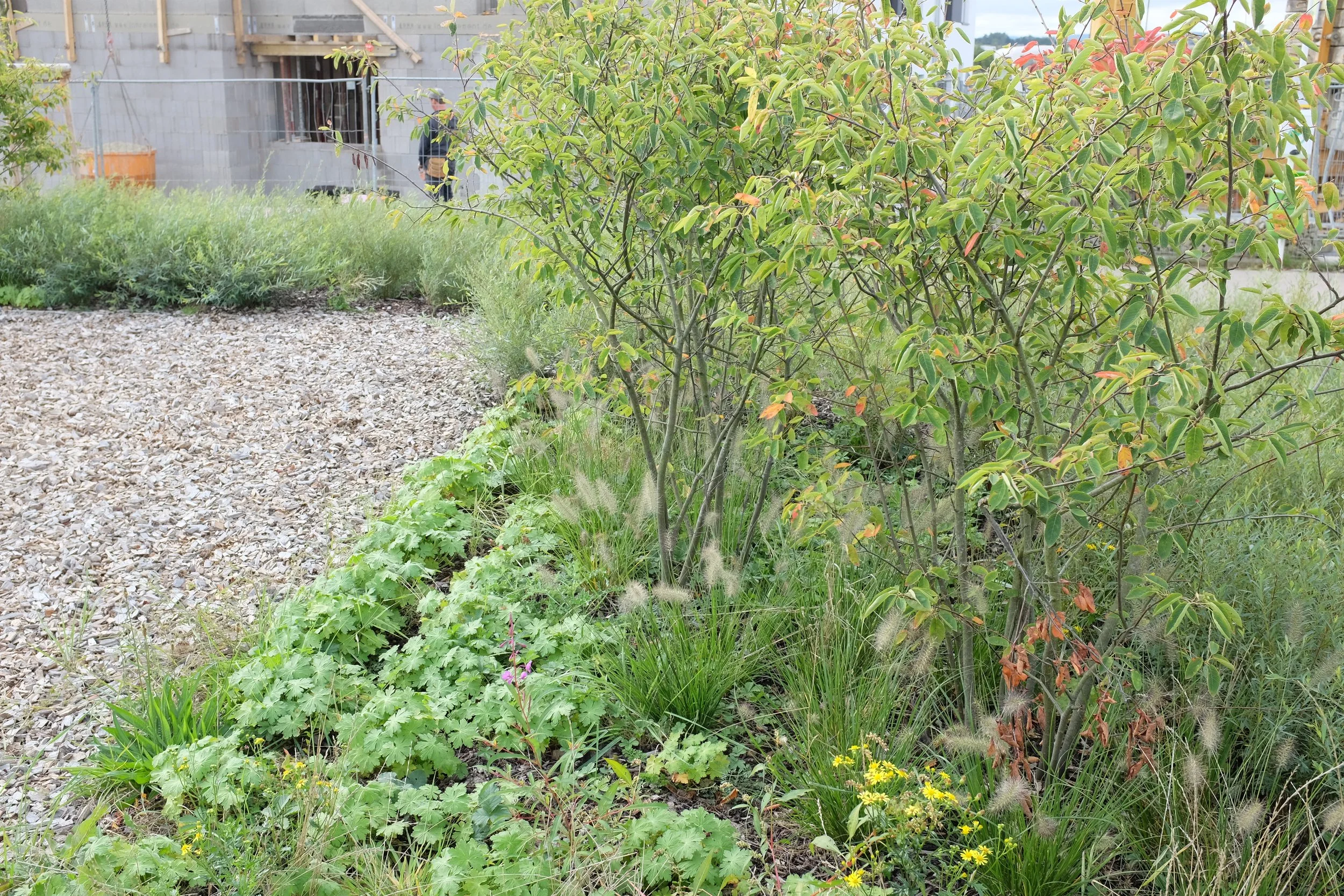 Pocket parks Frisange — AREAL Landscape Architecture