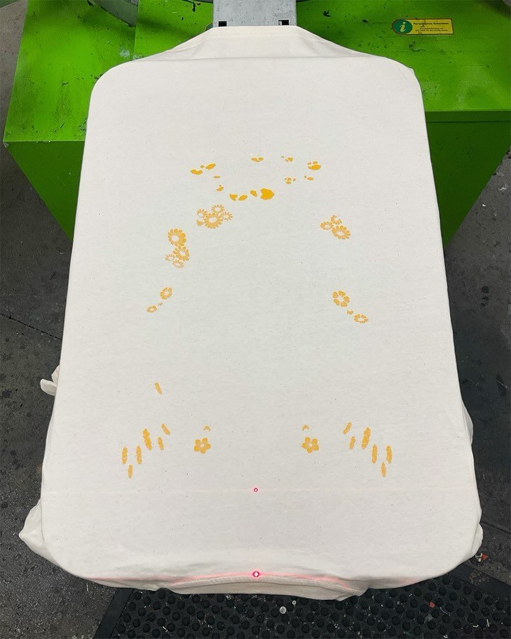 &laquo;Iltis - Tier des Jahres 2024&raquo;. Merci @pro_natura_de 🐸

Illustration von @vincent_is_drawing 

#siebdruck 
#screenprinting