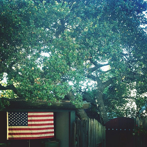 Screen Shot 2015-08-27 at 11.58.57 AM.png