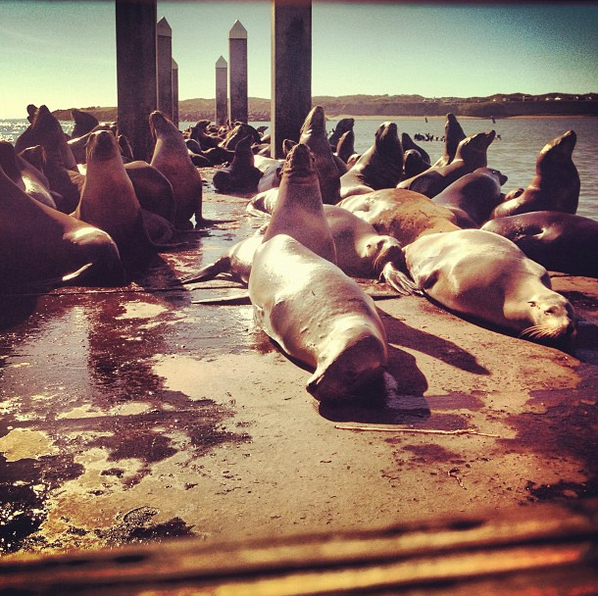 Screen Shot 2015-08-27 at 12.02.26 PM.png