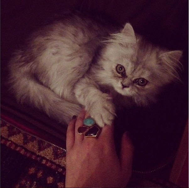 Screen Shot 2015-08-27 at 12.13.29 PM.png