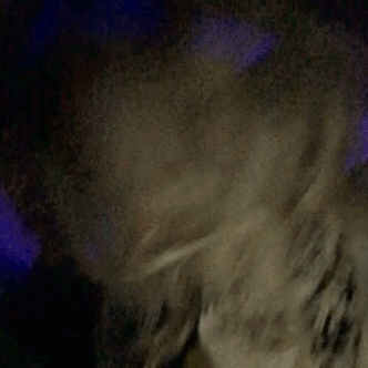 IMG_4147.GIF