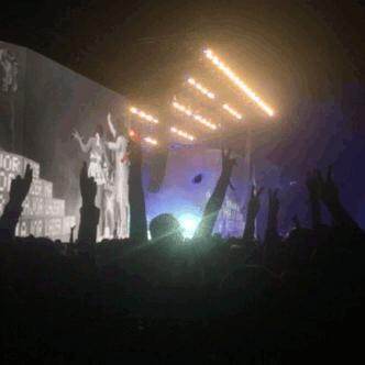 IMG_4277.GIF