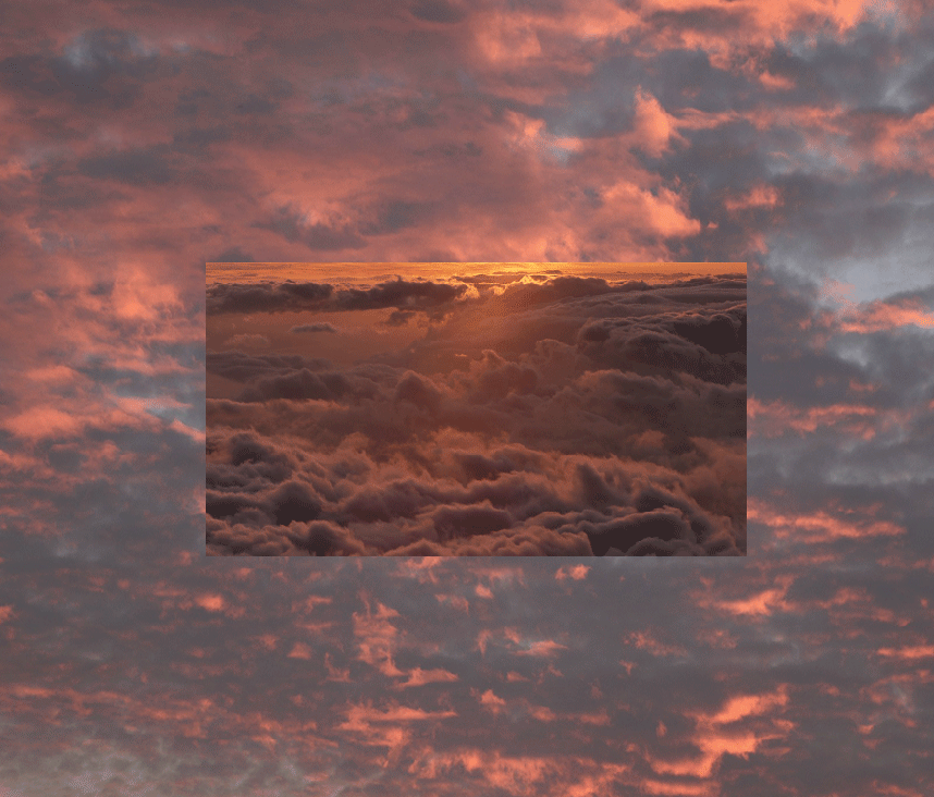 qo.gif