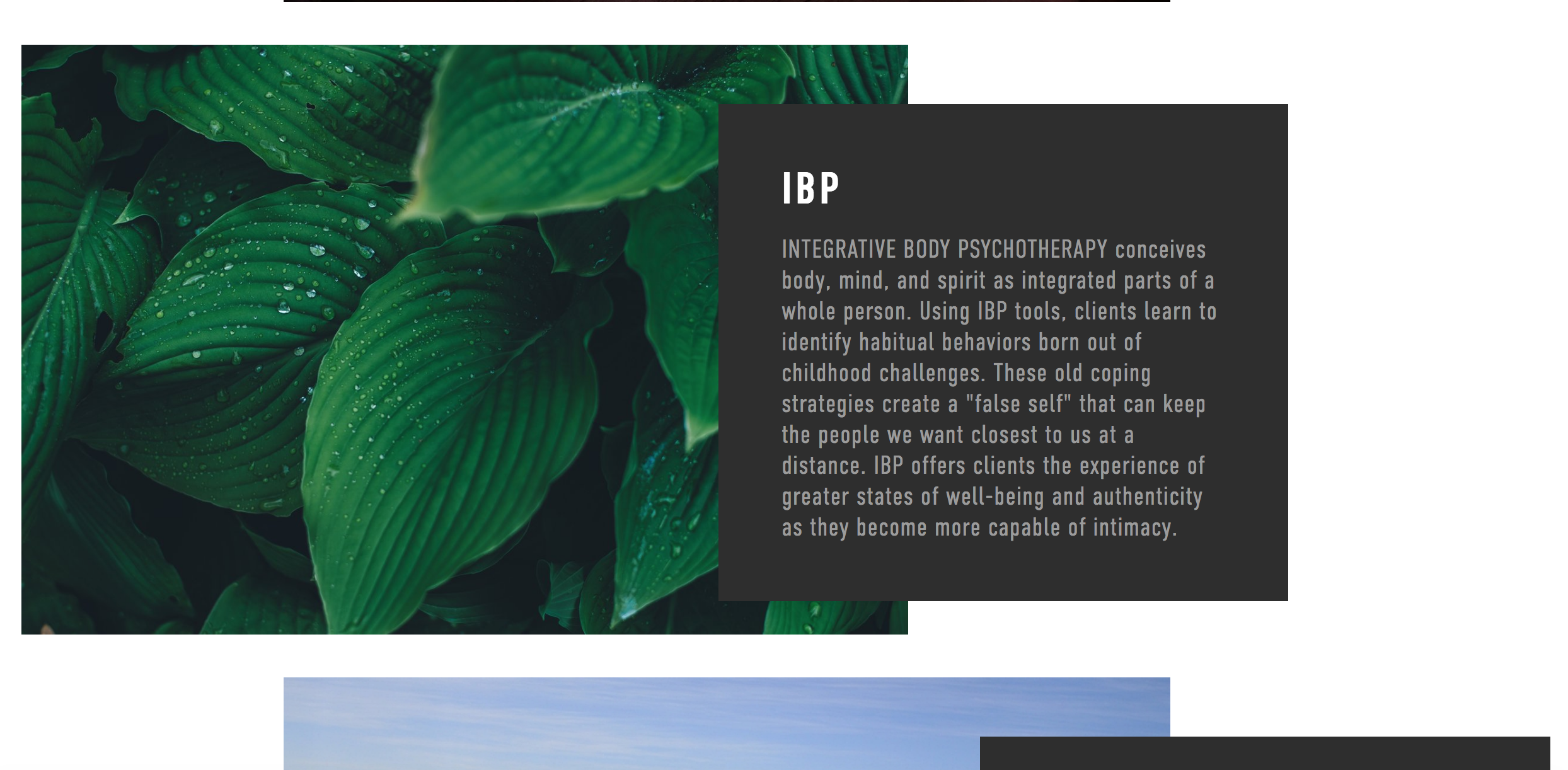 Screen Shot 2018-02-26 at 12.48.04 PM.png