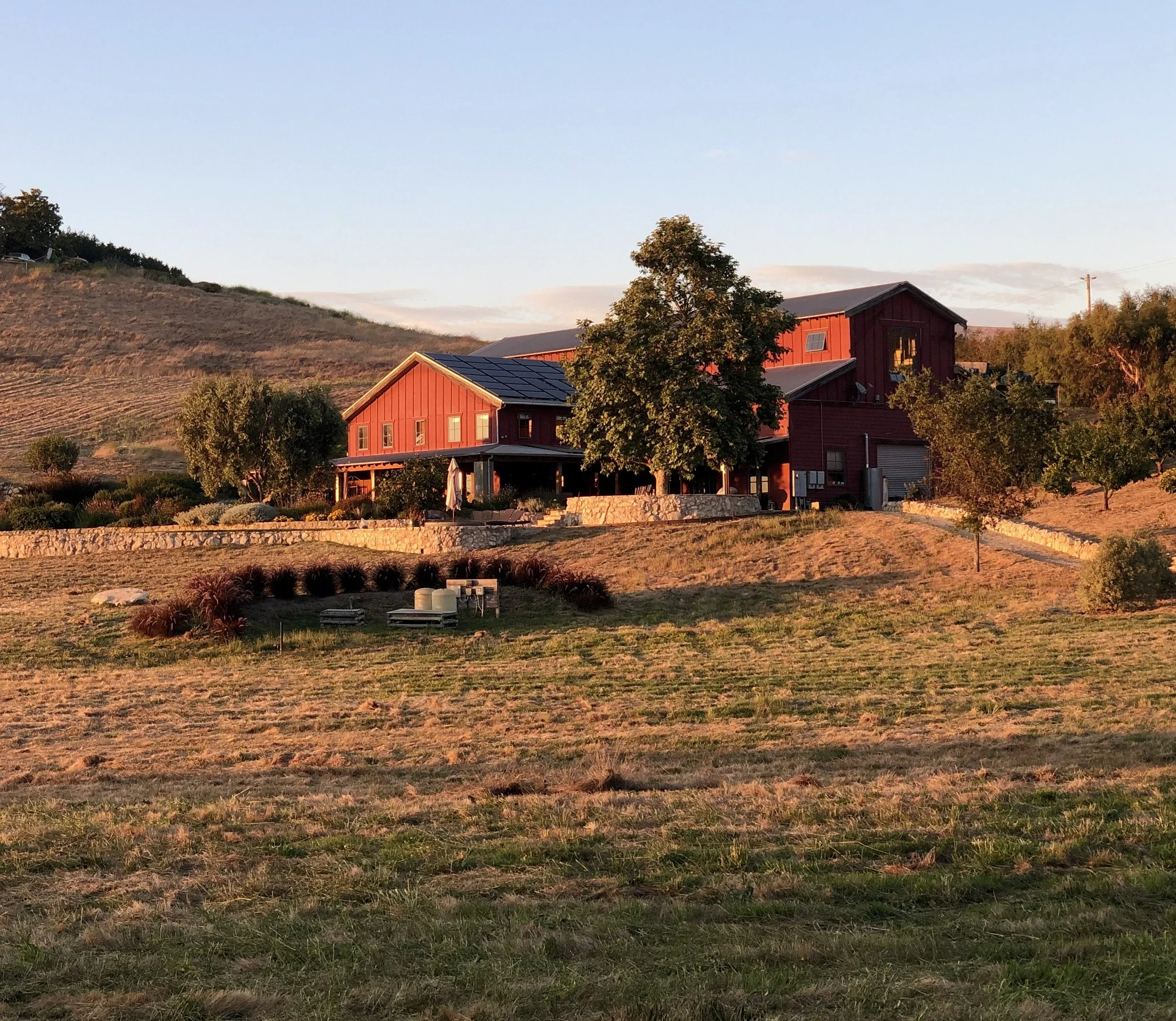 IMG_5351.webp (Copy)