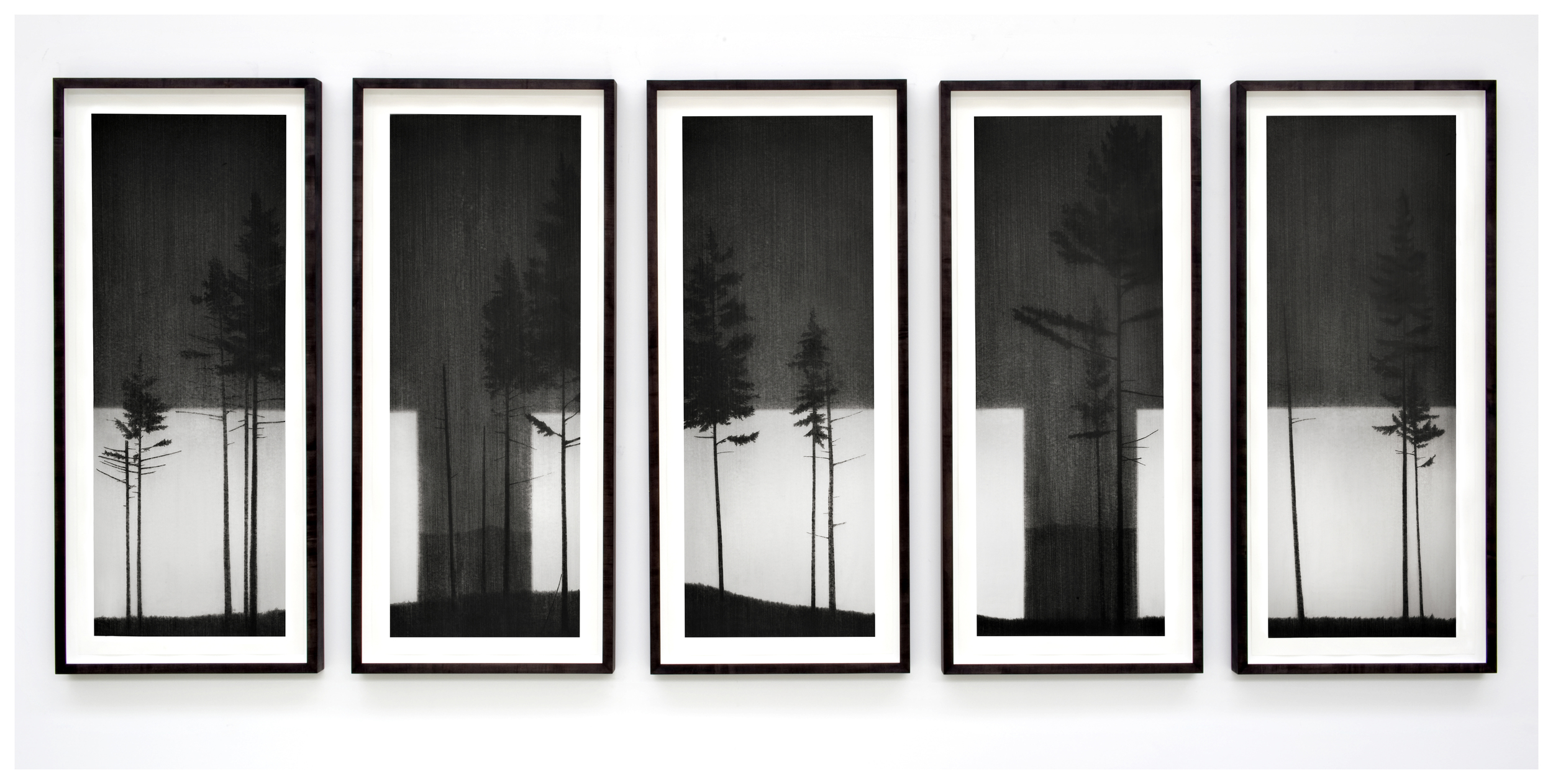   Multiplex. 2011.  Charcoal on paper. 170x415cm. 