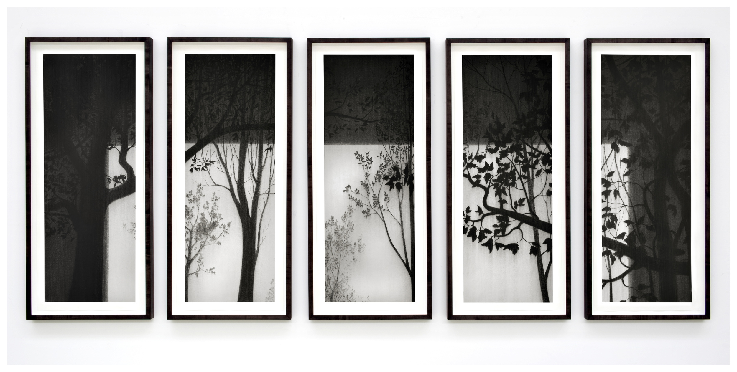 Untitled. 2011 . Charcoal on paper. 175x415cm