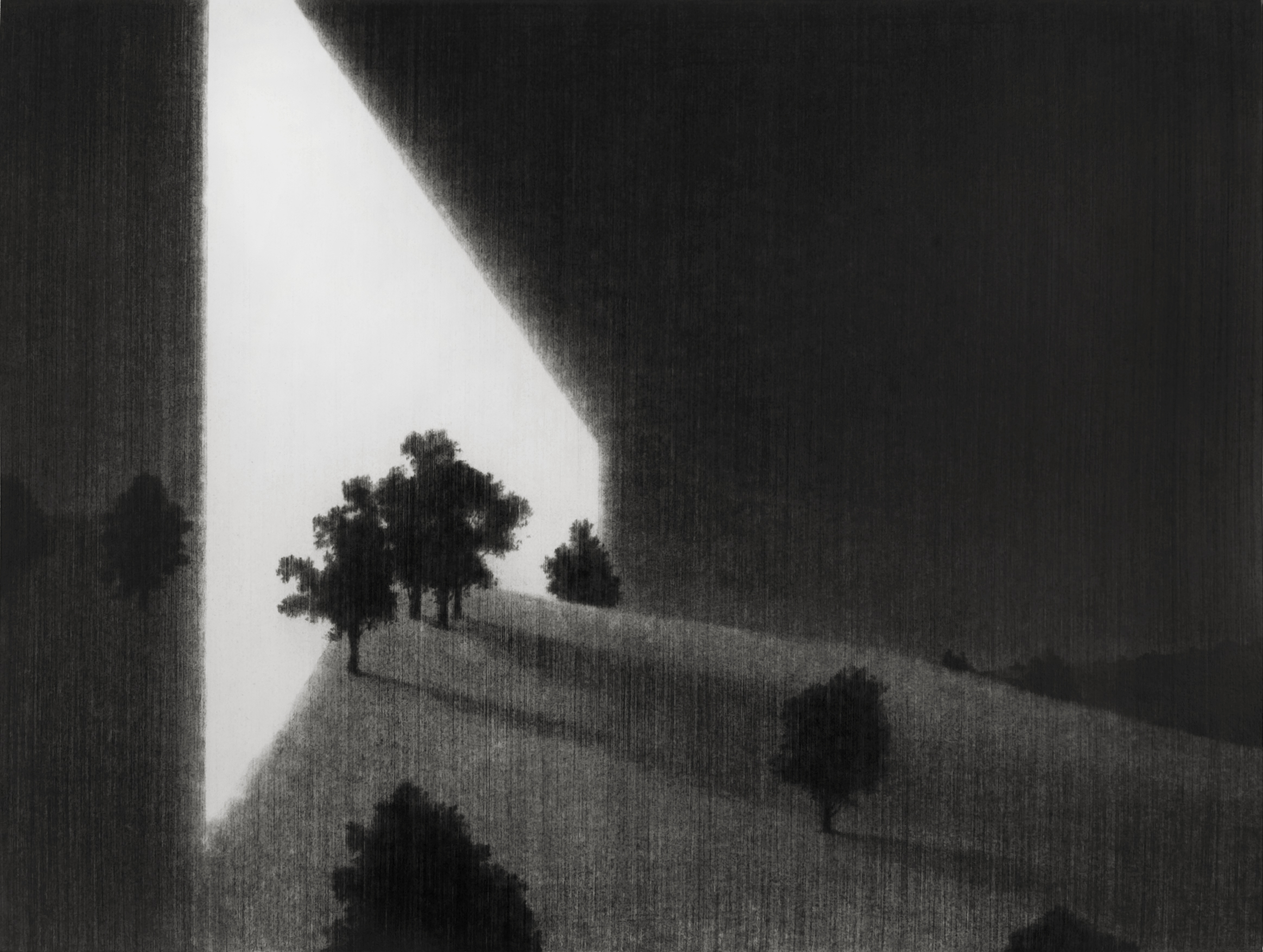 This Is England . 2010. Charcoal on paper. 63x78cm.