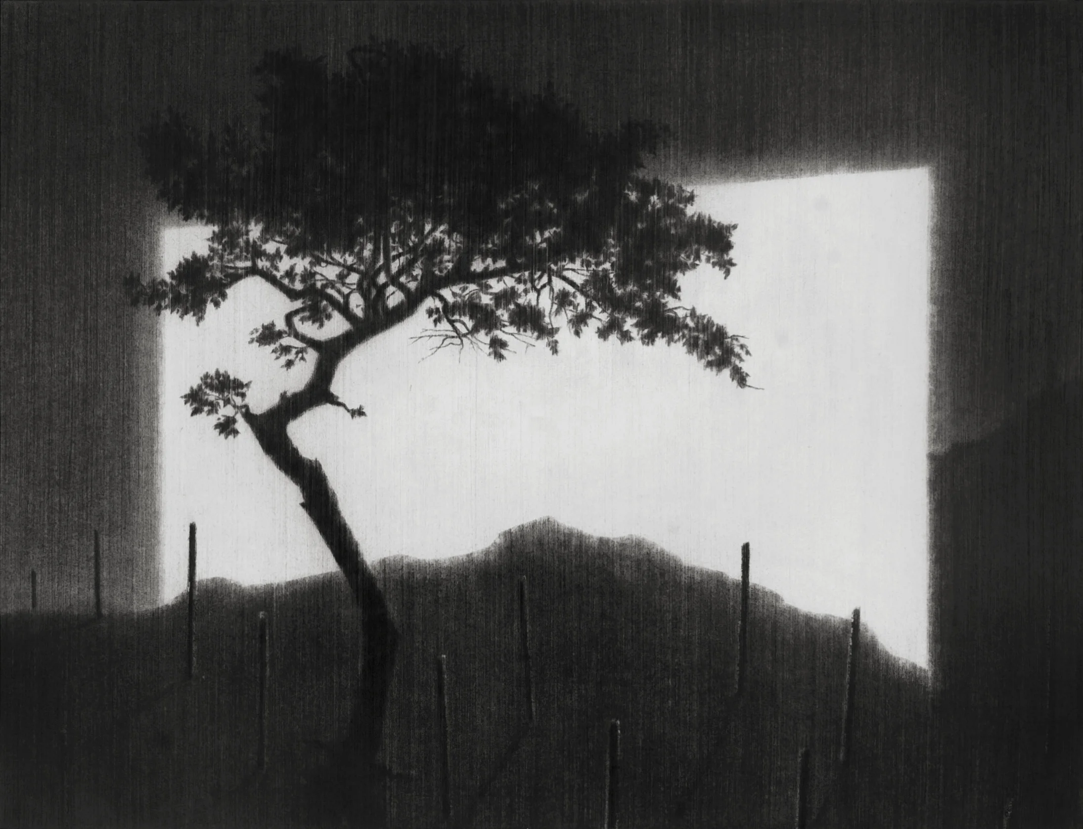 This Is Not A Love Song . 2012. Charcoal on paper. 64x78cm.