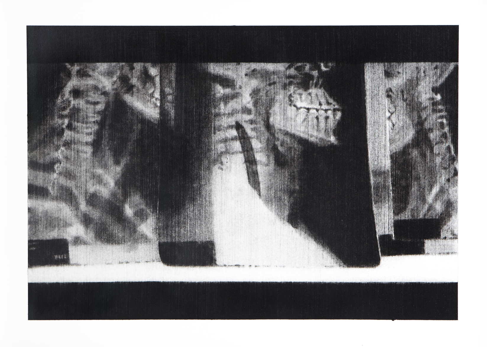    Anterior Laryngial Sac . 2012.&nbsp;Charcoal on paper. 35 x 48cm.  