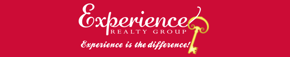 experience banner.png