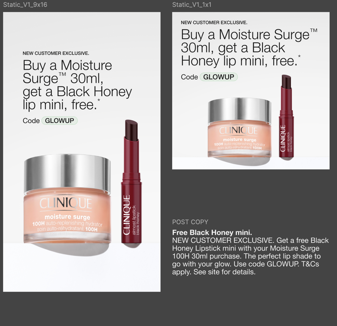  MOISTURE SURGE OFFER SOCIAL STATIC 