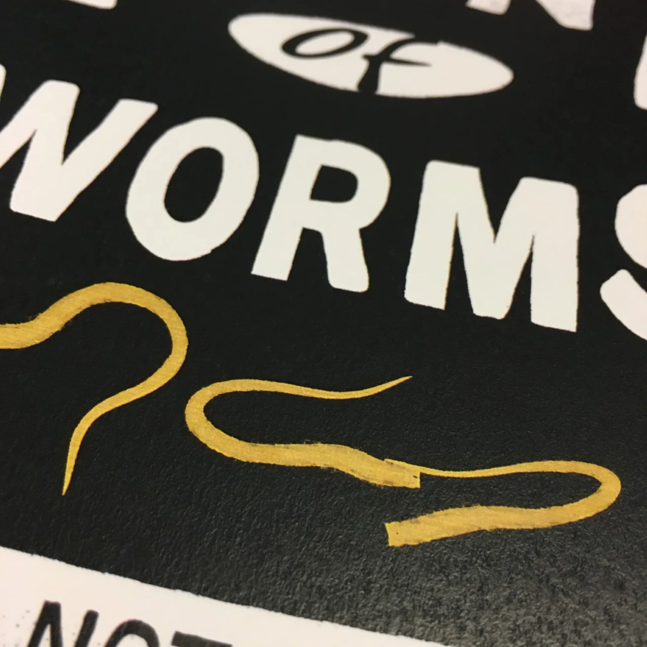 Can of worms contemporary art print by Lou Boyce - close up