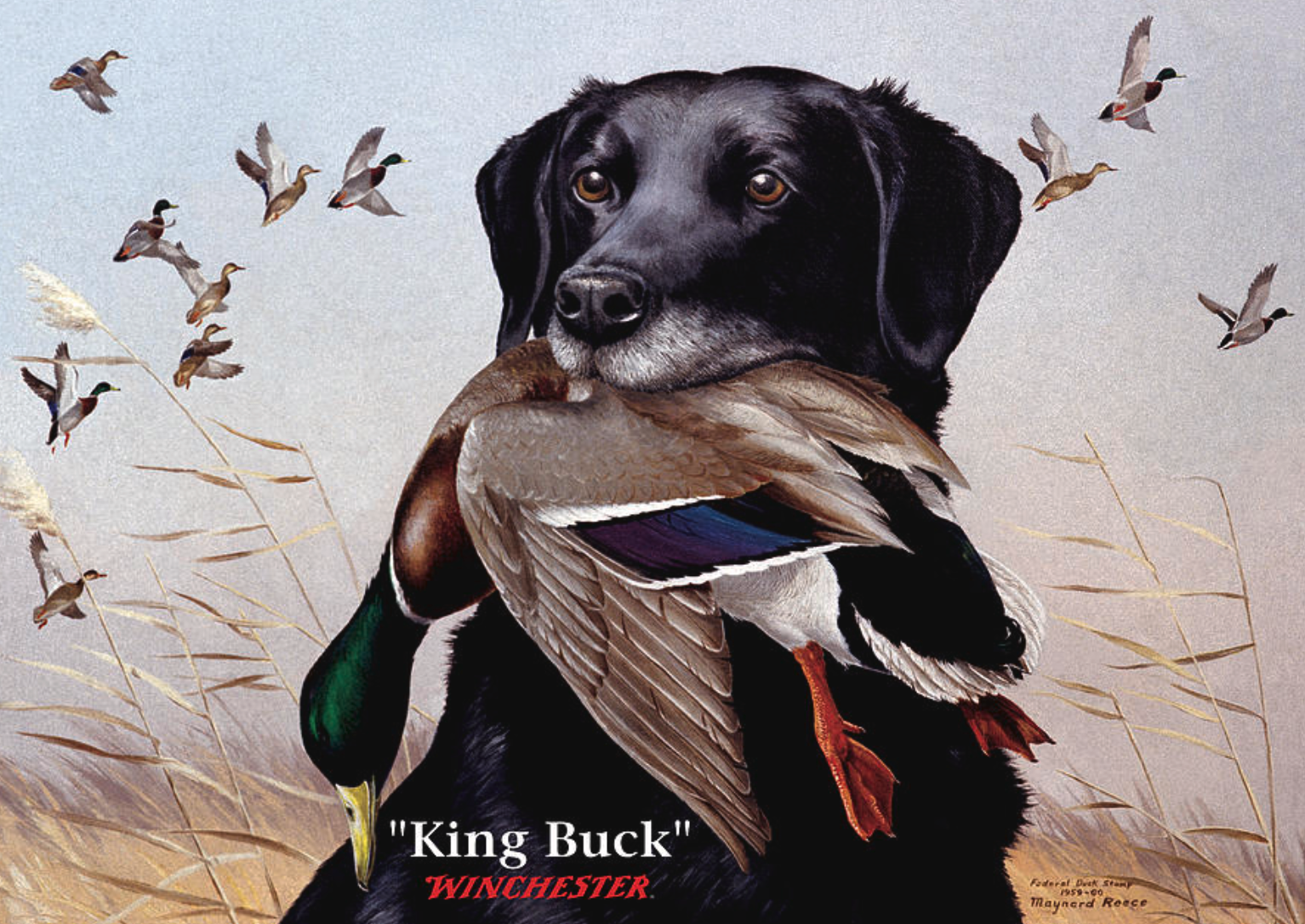 Screenshot 2026-03-05 at 12.06.56 PM.png