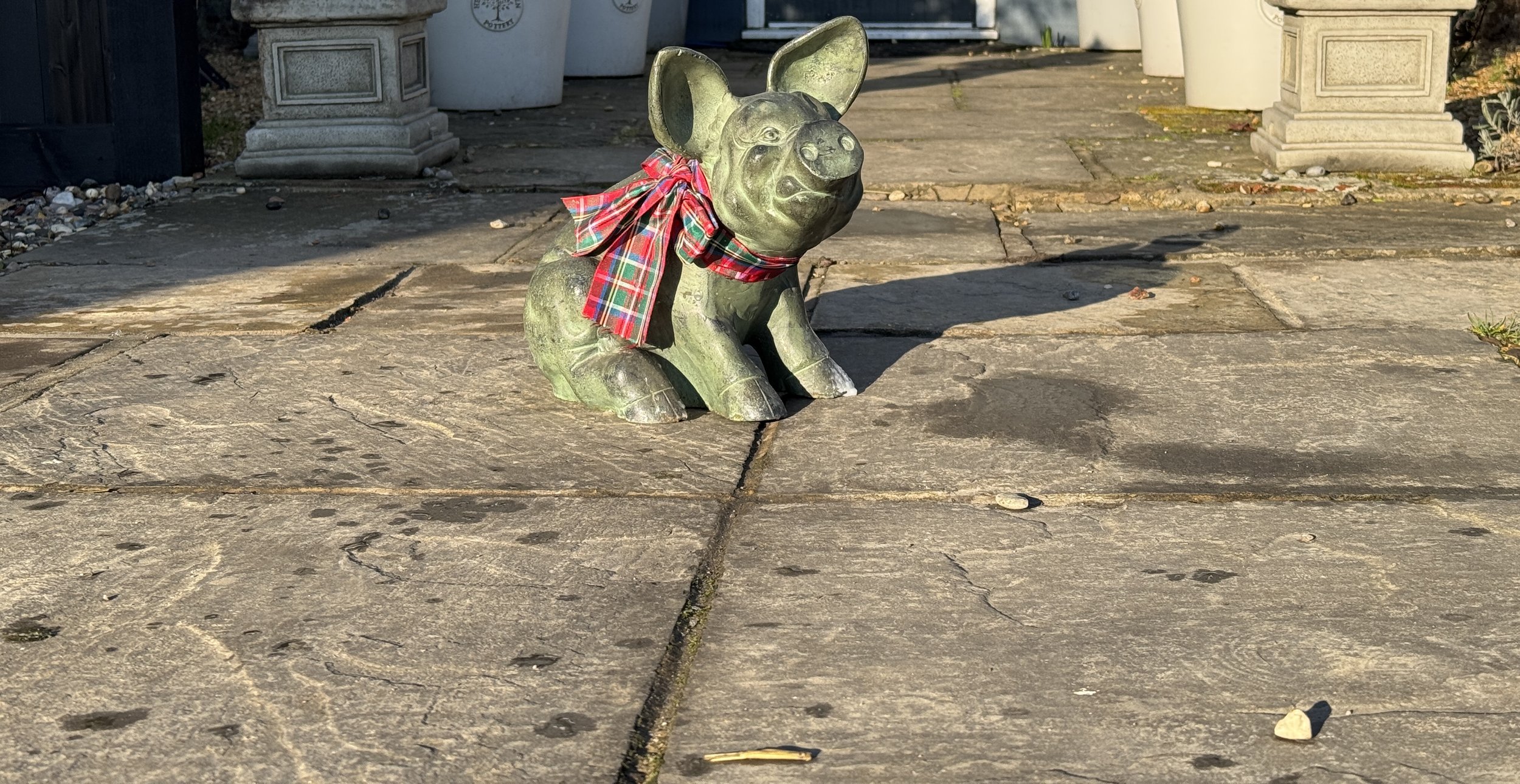 Whistlepig Day - Will there be an early spring?