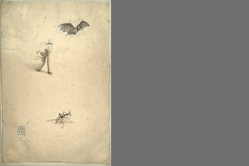 Marking Time: Hunger, Bat, and Bug, 2014–16 Pencil and gouache on paper 34 x 24"