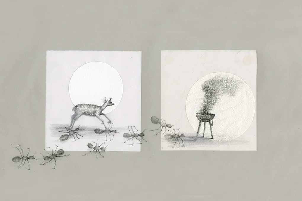 Outdoor Cooking: Deer, Grill, Ants , 2014 Pencil on paper with vellum overlay 15 x 8"
