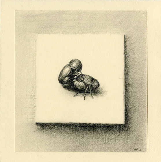 Work of Generations I
