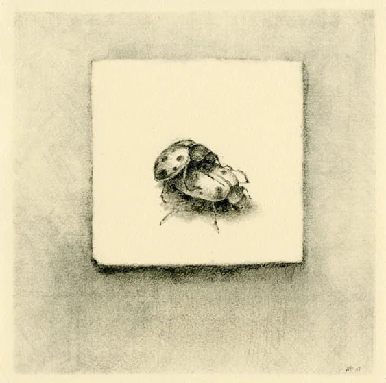 Work of Generations II