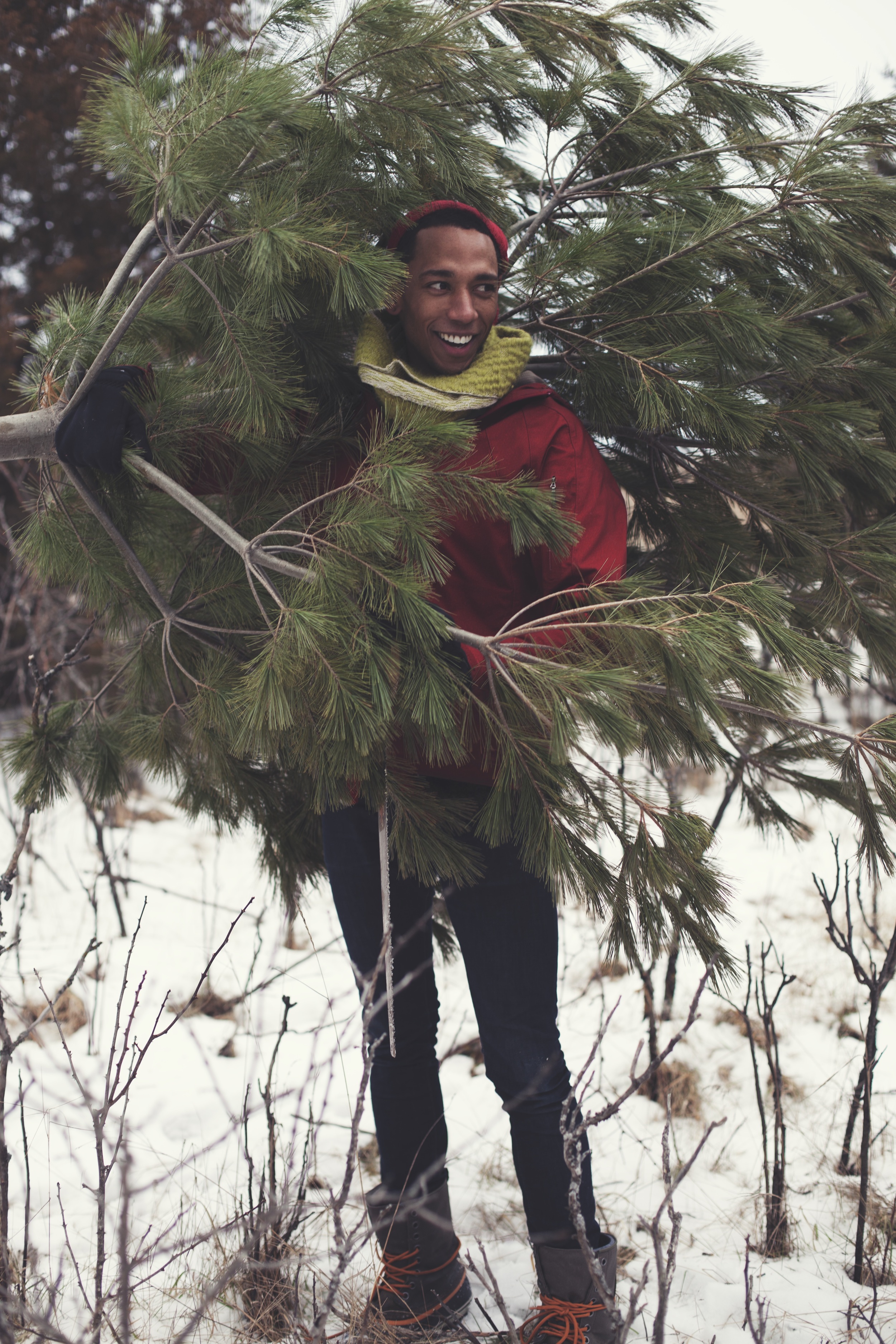 A Christmas Tree Hunt