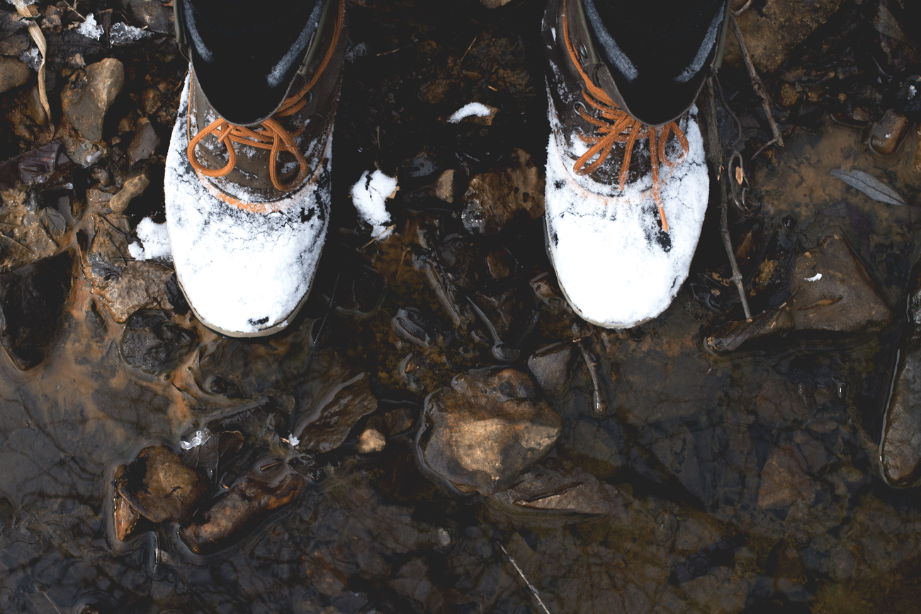 Walking Minnehaha Creek