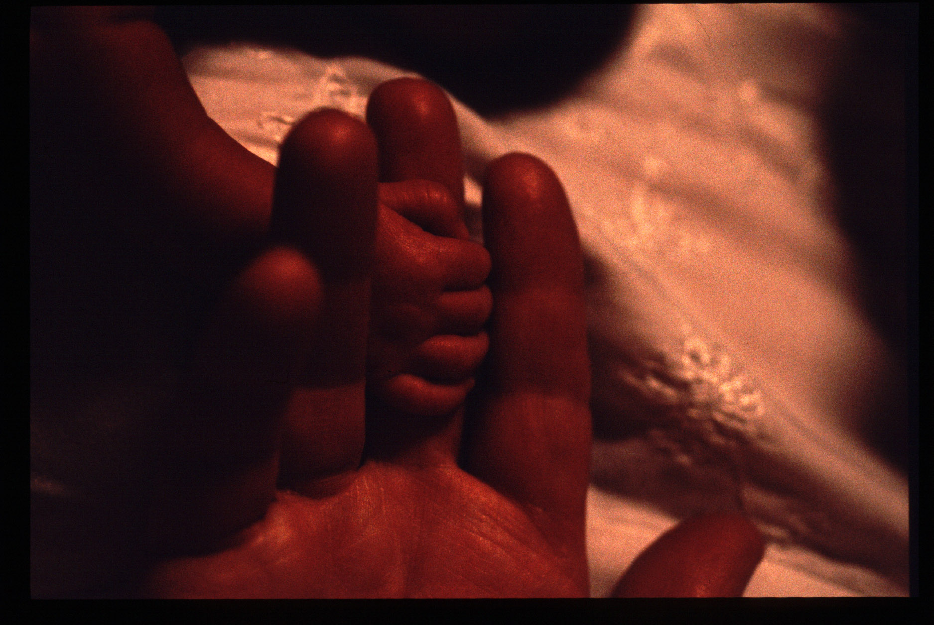 BABYHAN1 copy.jpg
