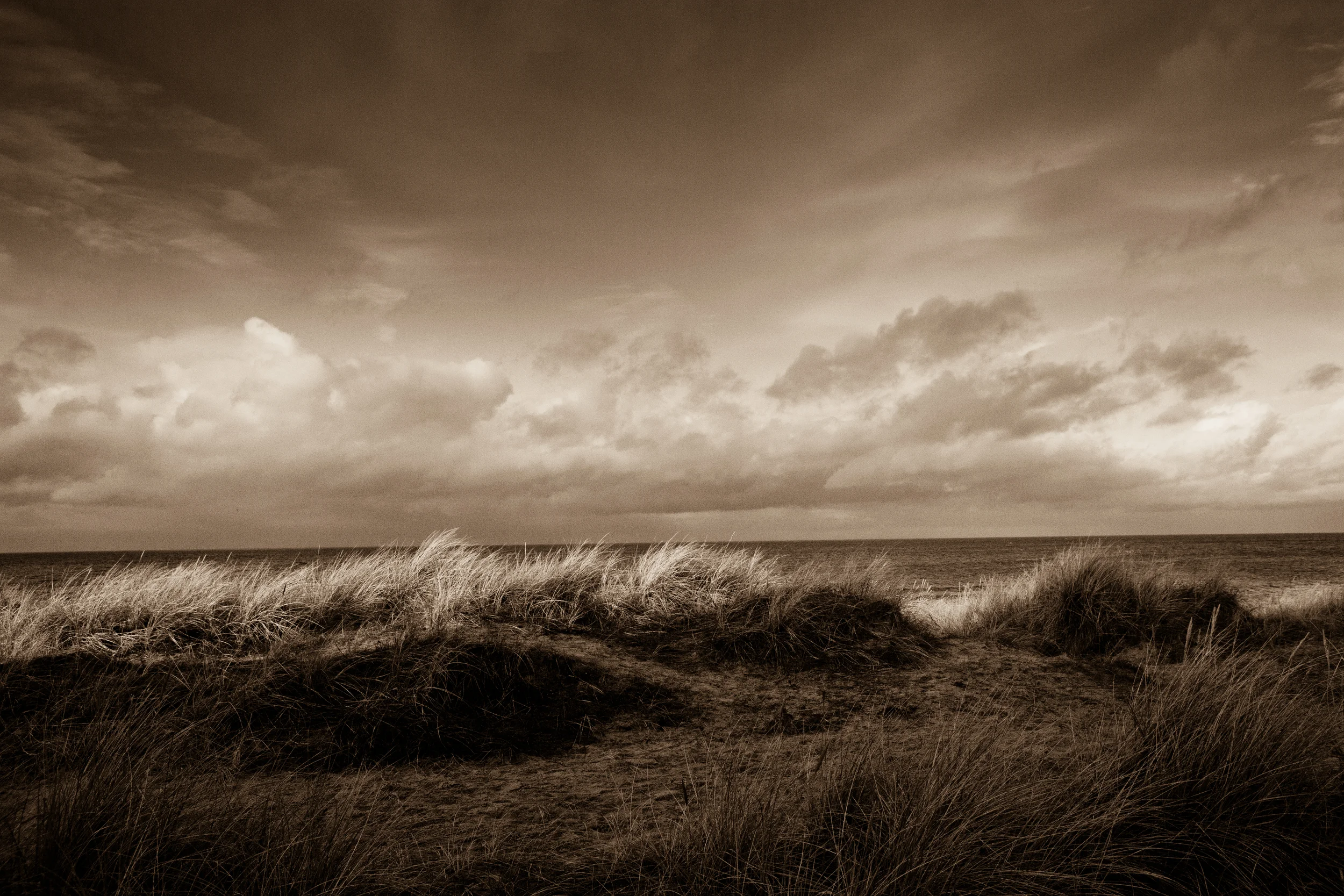 LANDSCAPES