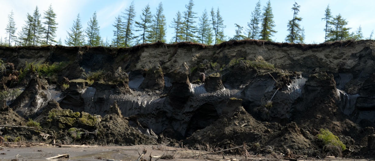 Duvannyi Yar - an eroding river bank along the Kolyma where yedoma exposes ancient bones.