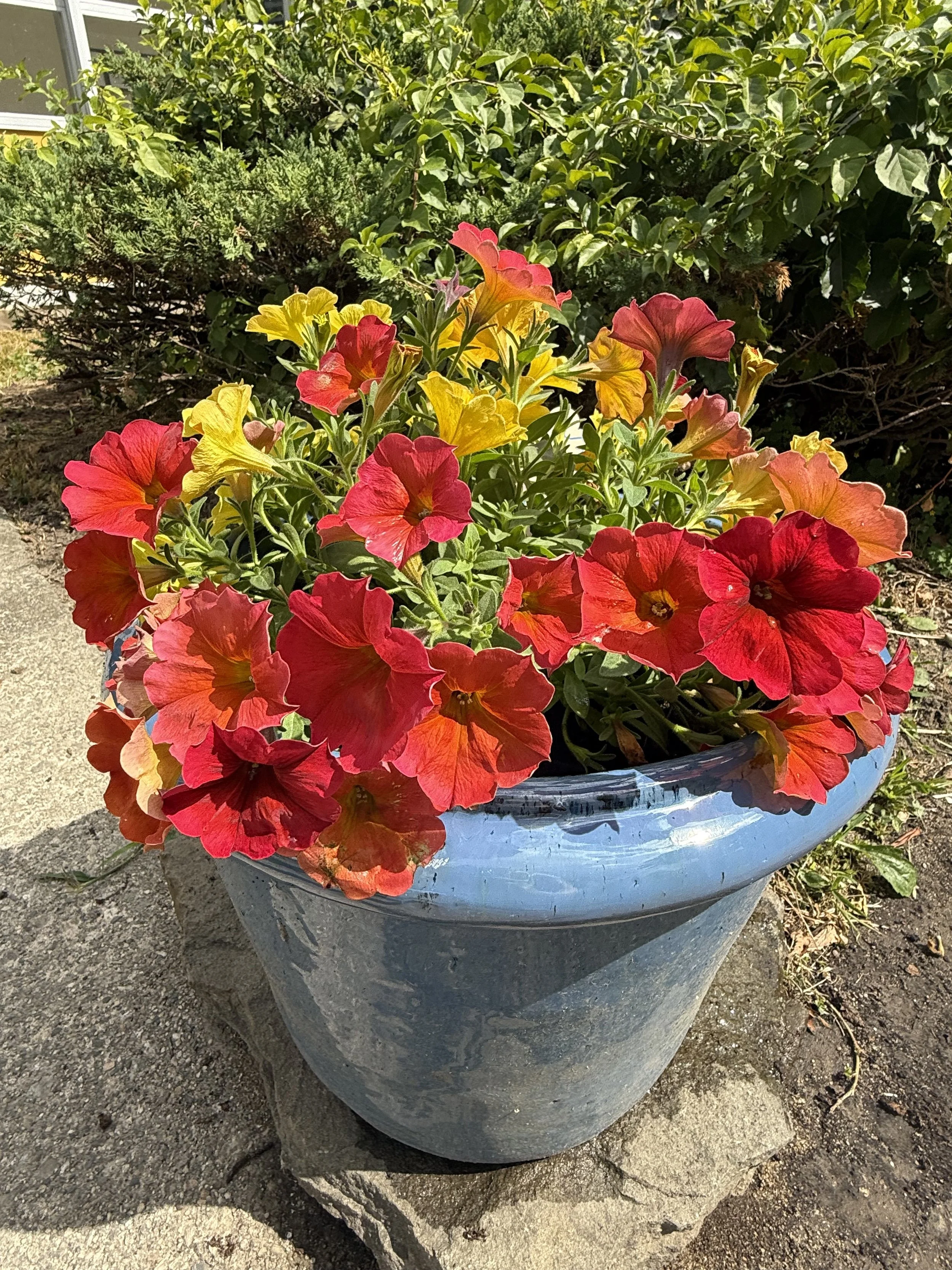 IMG_4171.jpeg
