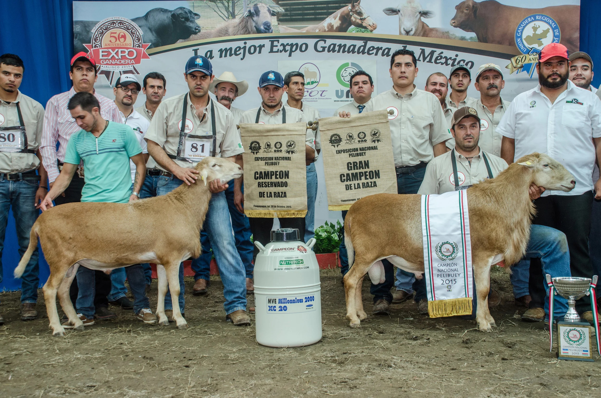 participacion expo 13.jpg